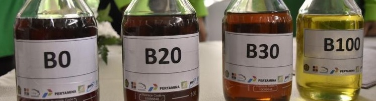 bio solar b30