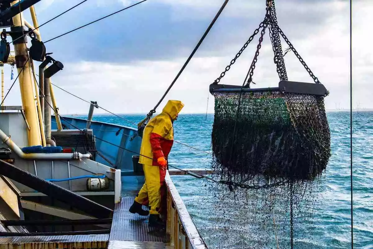 seorang nelayan sedang menangkap ikan menggunakan jaring dan berada di atas kapal penangkap ikan