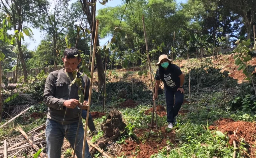 Proses rehabilitasi lahan